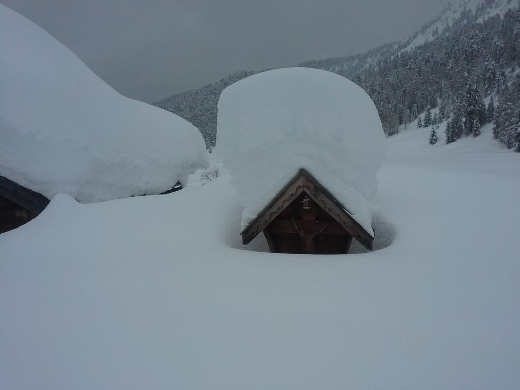 Appartamento Niki Campitello Campitello di Fassa Cameră foto