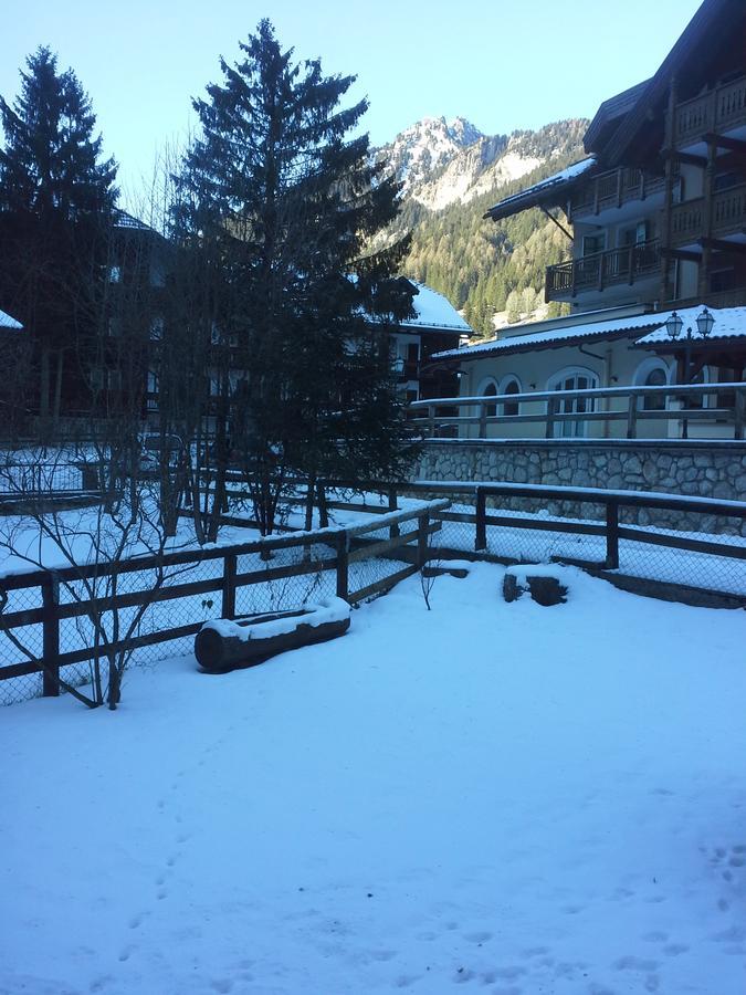 Appartamento Niki Campitello Campitello di Fassa Exterior foto